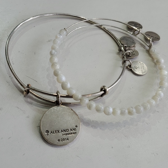 Alex and Ani Aunt Silvertone 2-bracelet Gift Set - Picture 7 of 8